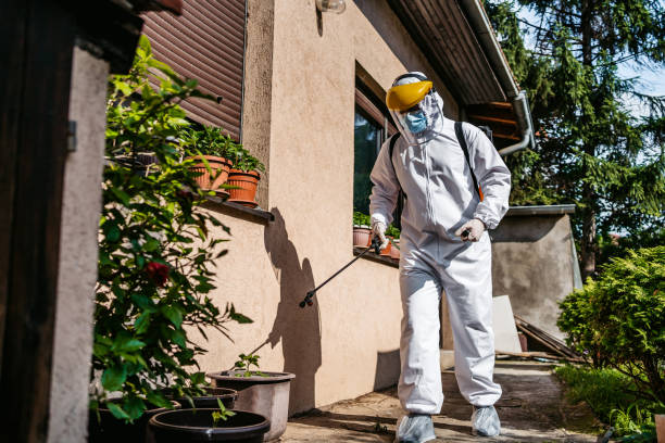 Best Cockroach Control Services  in South Boston, VA