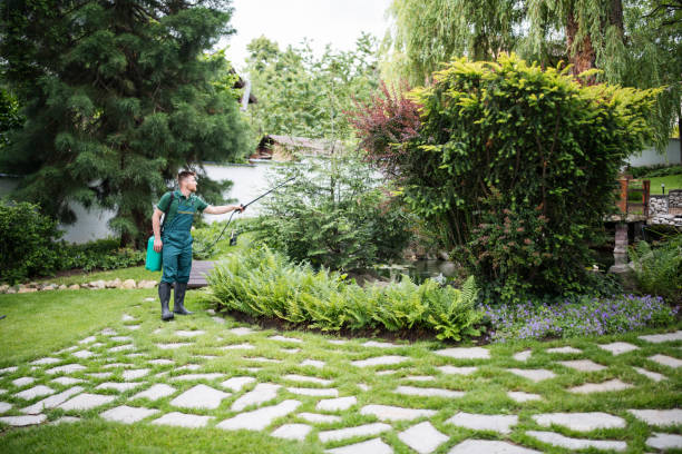 Wasp Removal Services in South Boston, VA