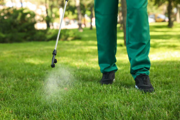 Best Bed Bug Extermination  in South Boston, VA