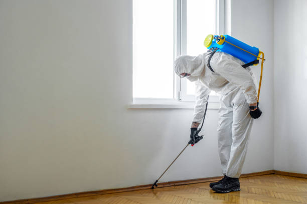 Pest Prevention Services in South Boston, VA