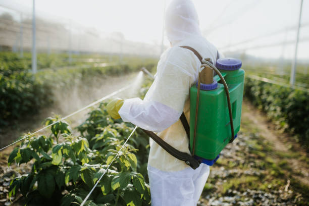 Best Best Pest Control Companies  in South Boston, VA